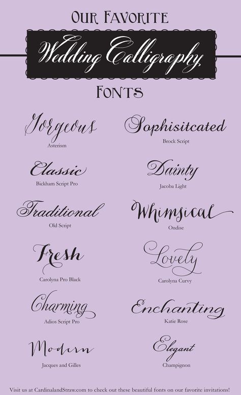 |Our Favorite Wedding Calligraphy Fonts| We thought it'd be fun to show you a few of our favorite fonts! Each font has its own personality and has the potential to give your invitation that extra burst of fun and fancy. To see these fonts in action, visit our website www.cardinalandstraw.com and plan your perfect invitation today. #wedding #font #script #calligraphy #weddinginvitation #type #weddingplanning Cursive Wedding Fonts, Different Types Of Calligraphy Fonts, Wedding Sign Fonts Dafont, Bickham Script, Wedding Fonts Calligraphy, Wedding Script Fonts, Font Tato, Tattoo Script Fonts, Tattoo Fonts Cursive