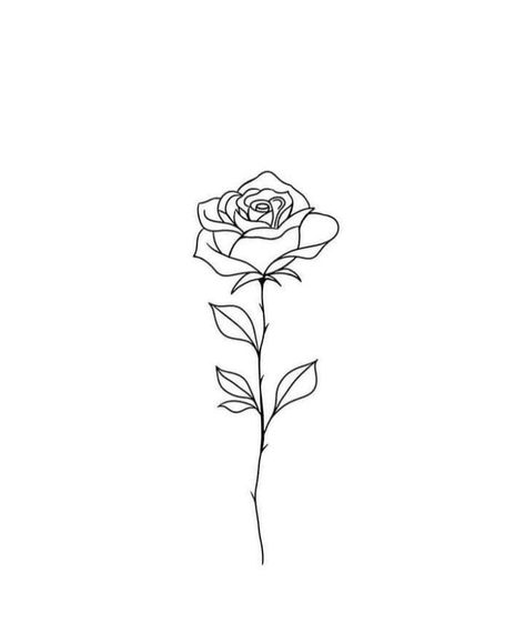 Roos Tattoo, Flor Tattoo, Happy Teacher, Getting A Tattoo, Pretty Tattoos For Women, Minimalist Tattoos, Subtle Tattoos, Nature Drawing, Rose Art