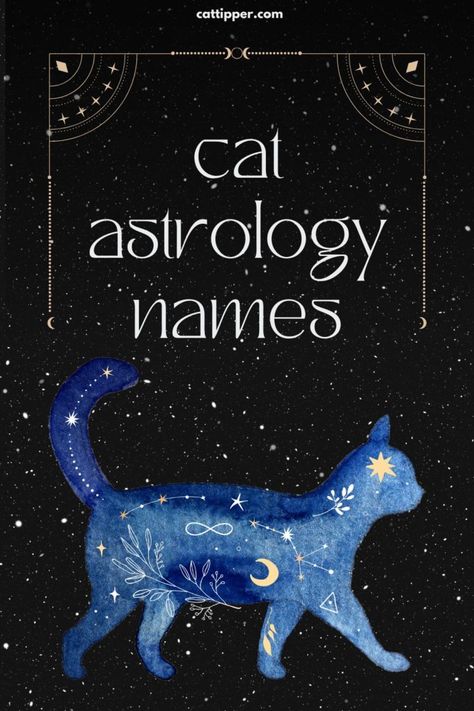 Cat Names Witchy, Cat Name Ideas Unique, Magical Cat Names, Witchy Pet Names, Witch Cat Names, Mystical Names Male, Black Cat Names Female, Mystical Names And Meanings, Astrological Names