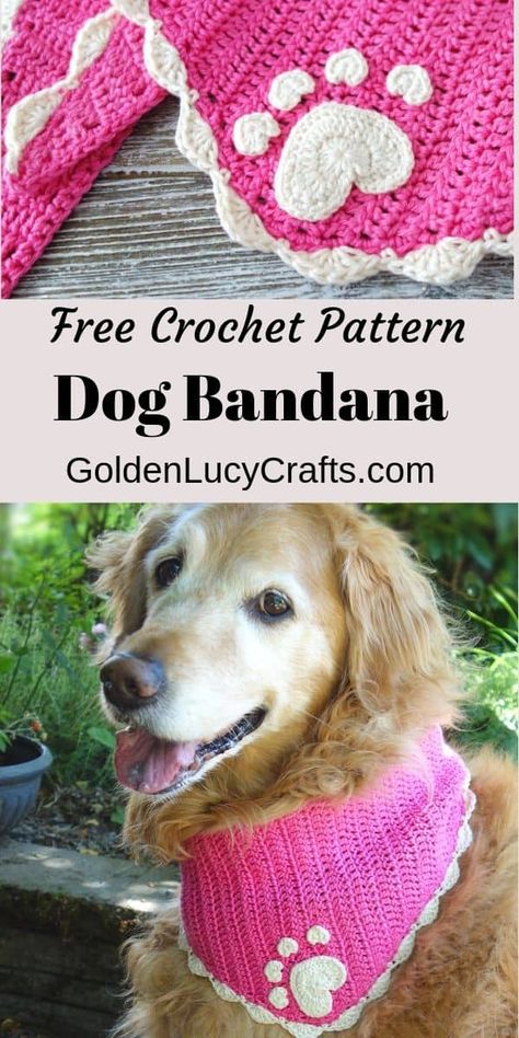 Crochet Dog Bandana Pattern, Crochet for Pets – GoldenLucyCrafts Dog Bandanas Pattern Over The Collar, Crochet For Pets, Crochet Dog Bandana, Diy Dog Bandana, Bandana Crochet, Diy Dream Catcher, Dog Bandana Pattern, Crochet Dog Clothes, Dog Sweater Crochet Pattern