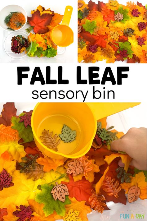 Leaves Sensory Bin Preschool, Leaf Sensory Activities, Fall Sensory Table Ideas, Leaves Sensory Bin, Leaf Sensory Bin, Leaves Sensory, Leaf Lesson Plans, Fall Activities For Preschool, Random Activities