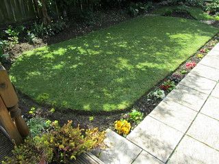 Gravel Path, Front Garden, Indoor Garden, Backyard Garden, Stepping Stones, Oval Shape, Front Yard, Landscaping, Lawn