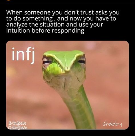 Infj Door Slam, Infj Relationships, Infj Humor, Infj Problems, Business Psychology, Infj Love, Infj Mbti, Door Slam, Infj Personality Type