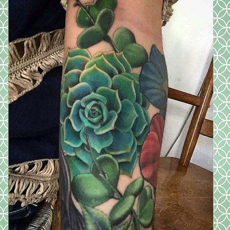 See this Instagram photo by @succulent_obsession • 48 likes Succulent Tattoos, Spiral Aloe, Cactus Tattoos, Desert Tattoo, Tatuaje Cover Up, Succulent Tattoo, Cactus Tattoo, Wildflower Tattoo, Sweet Tattoos