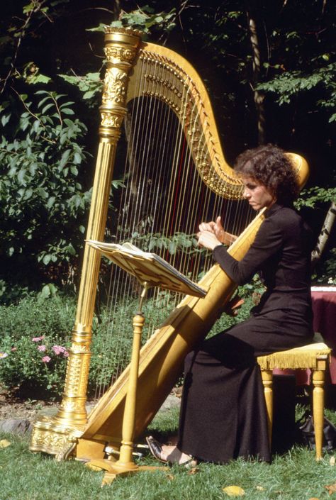 A harp player is the perfect touch for any vintage-inspired wedding. Image from my wedding circa 1980. Harp At Wedding, Harp Wedding, Orchestra Wedding, Wedding Orchestra, Harp Aesthetic, Violin Wedding, Harp Instrument, Harp Music, Harps Music