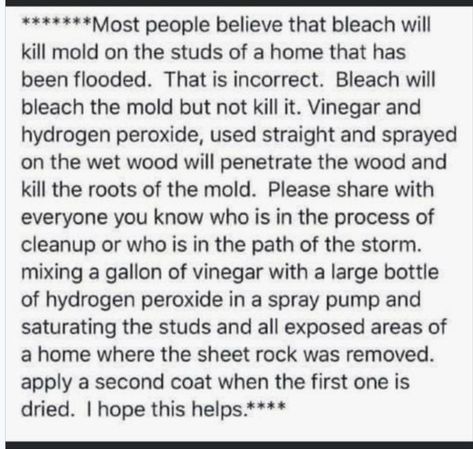 How to kill mold Mold Cleaner, Kill Mold, House Cleaners, Cleaning Mold, Mold Removal, Diy Cleaning Solution, Easy Cleaning Hacks, Homemade Cleaning Solutions, 1000 Life Hacks