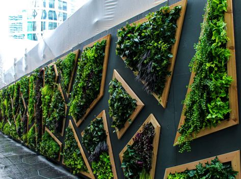 Green Wall Design, Living Green Wall, Moss Walls, Artificial Grass Wall, Artificial Green Wall, Garden Wall Designs, Grass Wall, Walled Garden, Moss Wall