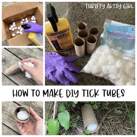 Tick Repellent For Yard, Diy Tick Spray, Diy Tick Repellent, Tick Spray For Yard, Tick Tubes, Get Rid Of Ticks, Craft Ideas Paper, Tick Spray, Natural Insecticide