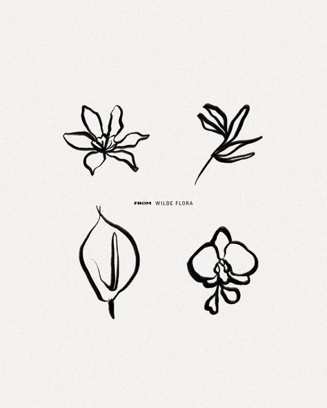 WILDE FLORA / not just a florist. Another spotlight at this passion project for Wild Flora Fusion Floristry. By Keren Elise. Tattoos Letters, Botanical Typography, Wildflower Logo, Typography Flowers Design, Wild Flower Logo Design, Floral Typography, Florist Logo, Luxury Font, Business Fonts