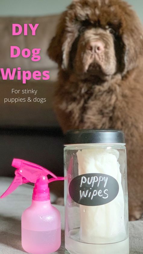 These DIY dog wipes are perfect to use between baths for stinky puppies or dogs and if you have a Newfie puppy that likes to play in the water, the distilled white vinegar or apple cider vinegar will help keep the sour mildew smell at bay. Diy Puppy Shampoo, Diy Pet Wipes Dogs, Dog Paw Cleaner Diy, Dog Wipes Diy How To Make, Diy Dog Wipes Cleaning, Diy Dog Wipes, Stinky Dog Remedy, Diy Dog Spray For Odor, Smelly Dog Remedies