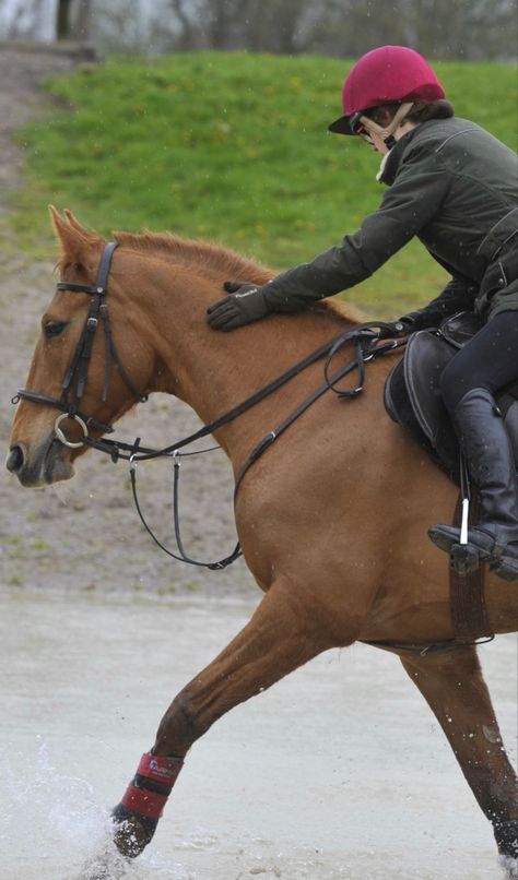 Loce my bond with this horse #equestrian #horseriding #crosscountry #eventing Horse Bonding, Chestnut Horses, Chestnut Horse, Horse Equestrian, Show Jumping, Horse Rider, Reference Photos, Cross Country, Chestnut