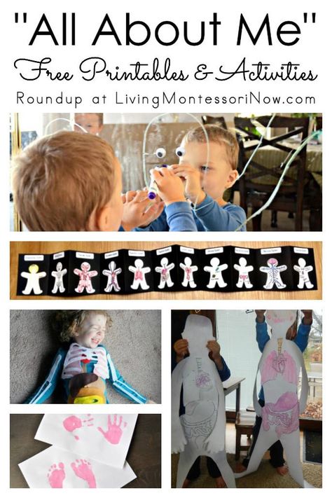 A variety of "all about me" free printables and activities. These are great for homeschools as well as classrooms. Many of the activities can be used for toddlers, preschoolers, or older children - Living Montessori Now #Montessori #allaboutme #backtoschool #freeprintables All About Me Free Printables, About Me Printable, All About Me Preschool Theme, Me Preschool Theme, All About Me Printable, All About Me Book, Montessori Geography, All About Me Preschool, All About Me Activities