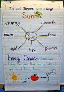 Fun With Firsties: Christmas                                                                                                                                                                                 More Science Anchor Charts, 1st Grade Science, First Grade Science, Primary Science, 6th Grade Science, 5th Grade Science, Science Notes, Kindergarten Science, Science Fair Projects