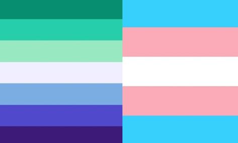 Gender Fluid Wallpaper, Lgbt Flag Colors, Trans Pride Flag, Trans Flag, Gender Flags, Gay Flag, Gay Pride Flag, Lgbtq Flags, Lgbt Flag