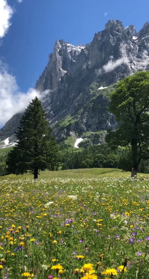 Landscape Beach, Majestic Mountains, Pretty Landscapes, Swiss Alps, Photography Awards, Twin Peaks, Alam Yang Indah, Art Landscape, Beach California