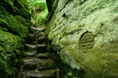 Dunino Den, Celtic Aesthetic, John Everett Millais, Fife Scotland, Celtic Design, Ireland Scotland, The Grove, Celtic Designs, Scotland Travel