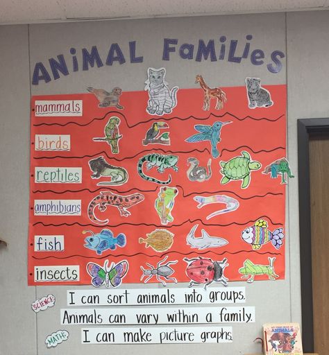 Classification Project Ideas, Animal Grouping Activities, Animal Types Activities, Animal Family Preschool Activities, Mammals Anchor Chart, Animals Including Humans Ks1 Display, Animal Classification Preschool, Animal Kingdom Classification Charts, Classification Of Animals Project