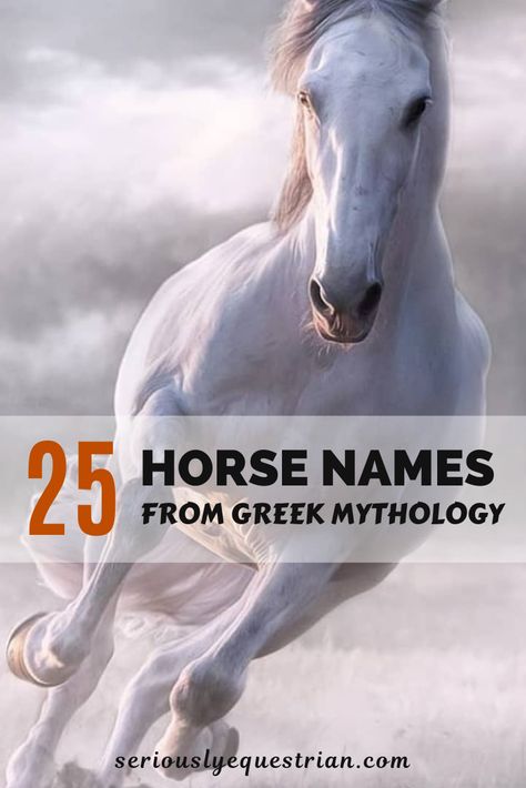 Here is a list of some of our favourite names from Greek Mythology for Horses. #horses #horsenames #seriousequestrian #equestrianlifestyle Horse Names List, Unique Horse Names, Names For Horses, Goat Names, Horses Names, Best Horse Names, Dressage Tests, Backyard Animals, Strong Names