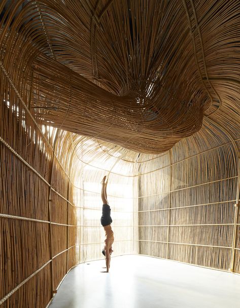 Eclectic Trends | 3D modeling shaping yoga pods made of rattan - Eclectic Trends Yoga Sanctuary, Types Of Climbing, Yoga Branding, Yoga Center, Colossal Art, Glass Facades, Urban Oasis, Ground Floor Plan, Climbing Plants