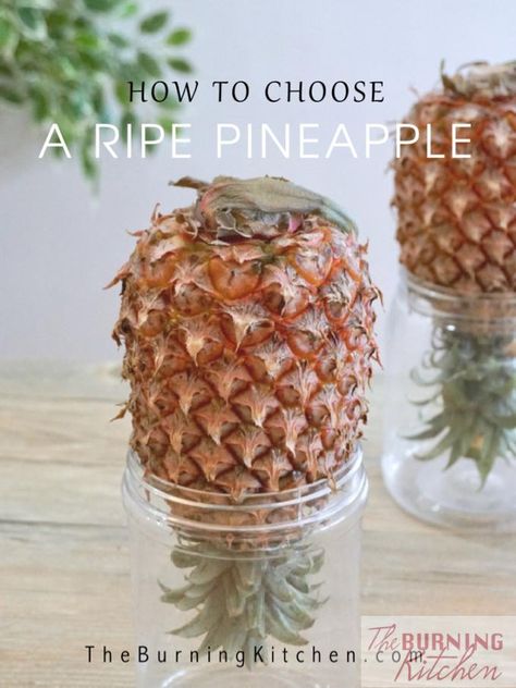 6 Tips on How to Choose a Ripe Pineapple - The Burning Kitchen How To Tell If A Pineapple Is Ripe, Fresh Pineapple Recipes, Fruit Hacks, Picking Fruit, Fruit Facts, Hainanese Chicken Rice, Hainanese Chicken, Ripe Pineapple, Pineapple Recipes