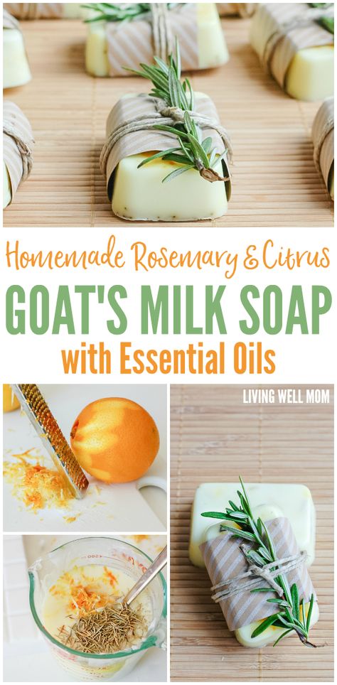 With a perfect blend of rosemary and citrus essential oils, this easy-to-make Homemade rosemary & citrus goat's milk soap is great for your family or as homemade gifts. Natural Soap Making Recipes, Goat Milk Soap Recipe, Milk Soap Recipe, Natural Soaps Recipes, Goat Milk Recipes, Diy Soap Bars, Savon Diy, Săpunuri Handmade, Gifts Homemade