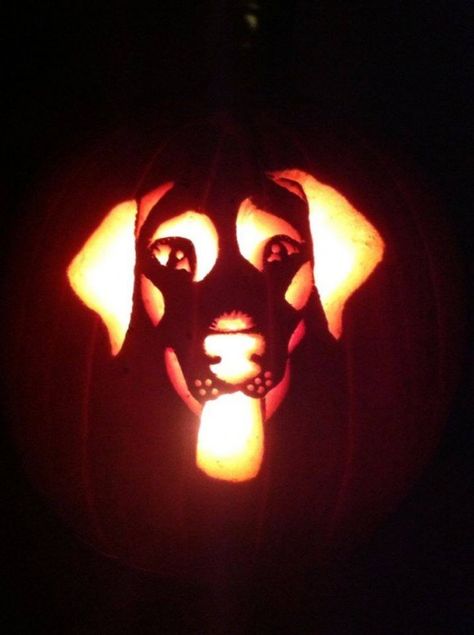 How to carve a pumpkin to look like your dog Pumpkin Carving Games, Pumpkin Carving Tips, Printable Pumpkin Stencils, Cute Pumpkin Carving, Pumkin Carving, Halloween Pumpkin Carving Stencils, Creative Pumpkin Carving, Dog Pumpkin, Easy Pumpkin Carving