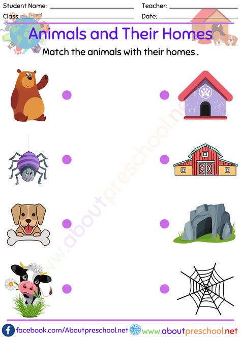 Animals and Their Homes Matching Matching Activities For Preschoolers, Where Animals Live, Habitat Activities, Animals And Their Homes, Science For Toddlers, Matching Activities, Matching Worksheets, Animal Worksheets, Free Preschool Worksheets