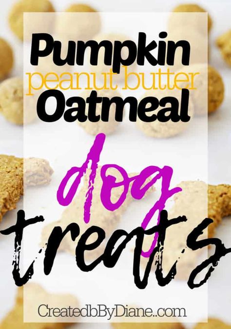 Pumpkin Dog Biscuits Recipes, Dog Cookies Recipe Pumpkin, Dog Treat Cookie Recipe, Oatmeal Dog Treats, Easy Pumpkin Oatmeal, Dog Treats Homemade Pumpkin, Pumpkin Dog Biscuits, Banana Dog Treat Recipe, Gluten Free Dog Treats