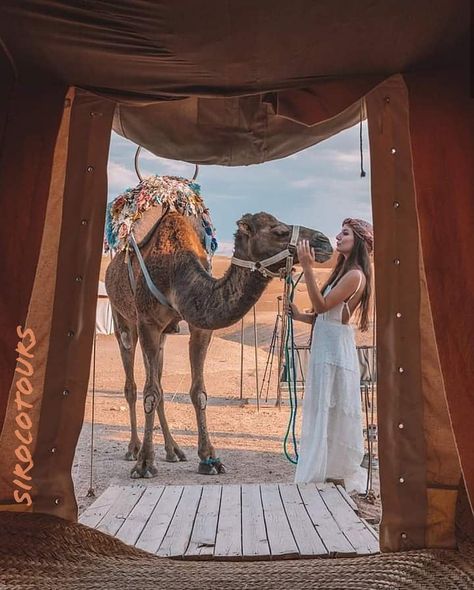 Experiências e surpresas no Deserto do Sahara 🐫🌟🇲🇦 . Moroccan surprises in Sahara Desert . ➖➖➖➖➖➖➖➖➖➖➖➖ Fale connosco para vir ver e VIVER este e outros encantos deste país 🇲🇦.... info@sirocotours.com Watsapp :+351914184366 Tel: +551132809467 ➖➖➖➖➖➖➖➖➖➖➖➖➖ #sirocotours #toursmarrocos #viagemmarrocos #saharadesert #surpresasdodeserto #sahara #marrocoscompaixao #charmsofmorocco #guiaportuguesmarrocos #igmorocco #instatravel Desert Outfit Ideas Dubai, Elise Cook, Couple Travel Photos, Marrakech Travel, Desert Travel, Afternoon Sun, Visit Egypt, Visit Dubai, Dubai City