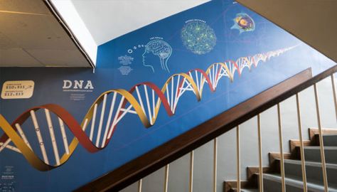 Science Mural, Forensic Lab, Wall Frames Diy, Science Timeline, Castle Hall, Education Design Interior, School Wall Decoration, Science Display, Science Wall