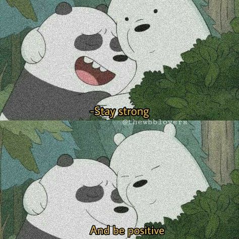 Stories Caption, Panda Meme, We Are Bears, Ice Bear We Bare Bears, Creative Iphone Case, Bear Quote, Instagram Cartoon, We Bare Bears Wallpapers, Ice Bear