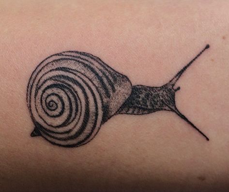 snail tattoo small realistic minimal Sea Snail Tattoo, Snail Shell Tattoo, Tiny Snail Tattoo, Snail Tattoo Simple, Snail Tattoos, Ammonite Tattoo, Snail Tattoo, Sleeve Inspiration, 2024 Tattoo