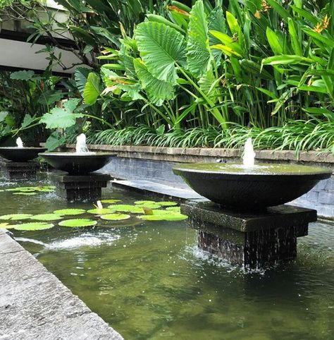 Asian Fountain, Tropical Fountain, Tropical Landscape Design, Japanese Garden Landscape, Modern Fountain, Bush Garden, Tropical Garden Design, Fountain Design, Backyard Water Feature