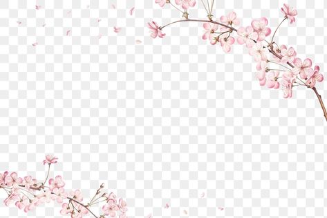 Flower Frame Png, Japan Sakura, Cherry Blossom Flower, Pink Cherry Blossom, Free Overlays, Cherry Blossom Branch, Transparent Flowers, Border Frame, Sakura Flower