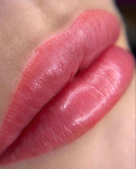 Pmu Lips Permanent Makeup, Lip Pmu, Cosmetic Lip Tattoo, Lips Permanent Makeup, Permanent Makeup Lips, Bb Lips, Pmu Lips, Micro Labial, Layers Of The Skin