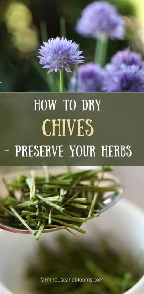 How To Dry Chives – Preserve Your Herbs Drying Chives, Preserve Fresh Herbs, Chives Recipe, Chives Plant, Best Herbs To Grow, Freezing Herbs, Garden Companion Planting, Diy Herbal Remedies, Preserving Herbs