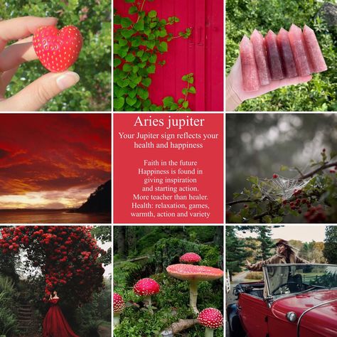 Jupiter Aries, Aries Jupiter, Draconic Chart, Aries Rising Aesthetic, Red Green Aesthetic, Maria Core Aesthetic, Jupiter In Aries, Zodiac Chart, Zodiac Aesthetic