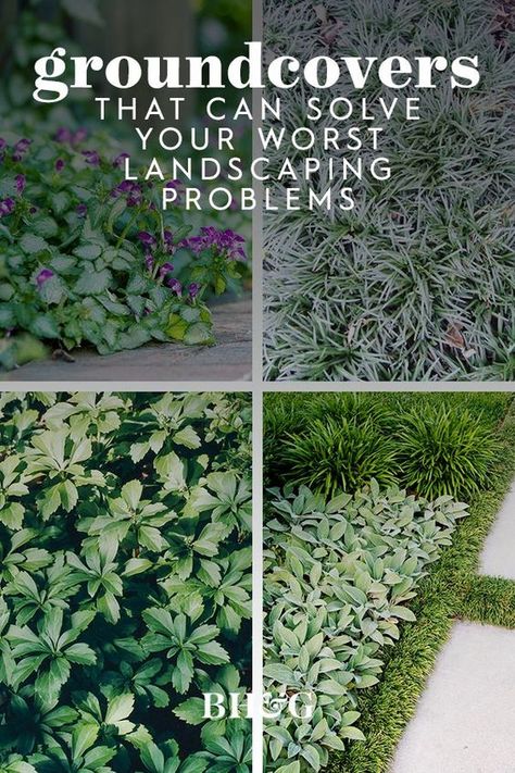 Maintenance Free Landscaping Backyards, Plants For The Side Of A House, Ground Cover To Plant In Fall, Hearty Landscaping Plants, Rock And Grasses Landscaping, Shade Garden Along Fence, Flower Bed Alternative Front Yards, Using Big Rocks In Landscaping, Non Grass Landscaping