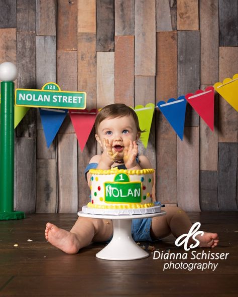 Sesame Street Birthday Photo Shoot, Sesame Street Photo Shoot, Sesame Street Smash Cake, 1st Birthday Photoshoot Boy, Sesame Street Cake Smash, First Birthday Photo Shoot Ideas, Elmo Smash Cake, Birthday Photo Shoot Ideas, Toddler Birthday Party Themes