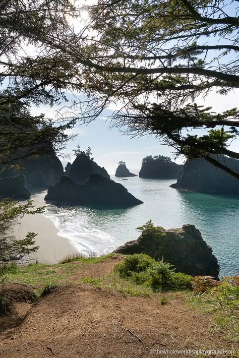 Gleneden Beach Oregon, Portland Oregon Nature, Secret Beach Oregon, Oceanside Oregon, Honeymoon Aesthetic, Rockaway Beach Oregon, Oregon Coast Roadtrip, Friend Trip, Oregon Camping