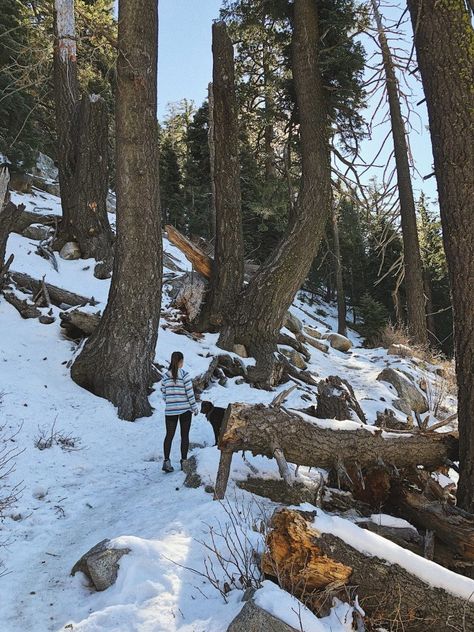 Female Hiker, Hikes In Los Angeles, Idyllwild Ca, San Jacinto Mountains, Denver Travel, Winter Hike, Thanksgiving Travel, Hiking Winter, Winter Weekend