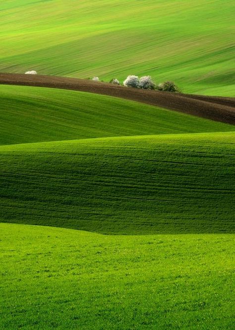 Nice Photos, Green Field, Green Landscape, Natural Scenery, Green Nature, Alam Yang Indah, Amazing Nature, Nature Beauty, Beautiful World