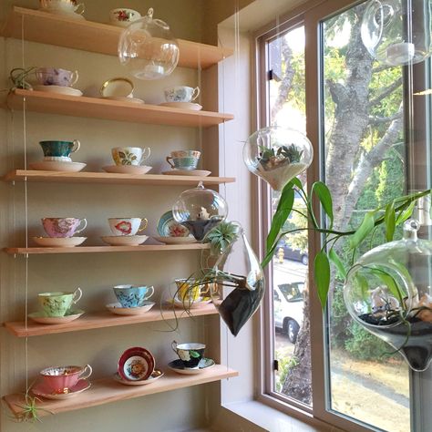 floating shelves for my tea cup collection Shelves For Tea Cups Display, Tea Pot Display Shelves, Tea Cup Storage Display, Modern Teacup Display, Tea Cup Wall Display, Teacup Wall Display, Teacup Display Ideas Modern, Teacup Collection Display, Tea Cup Display Ideas Modern