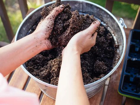 Make the Best Seed Starting Mix for Dirt Cheap (It’s Organic Too) – Garden Betty Seed Starting Soil, Growing Carrots, Winter Vegetables Gardening, Seeding Lawn, Seedling Pots, Seed Starting Mix, Planting Pot, Starting Seeds Indoors, Seed Starter