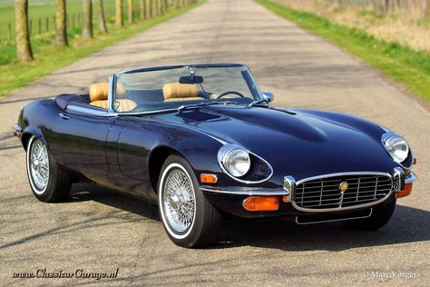 Jaguar Type E, Vintage Jaguar, Jaguar Type, Jaguar Daimler, Jaguar Cars, Jaguar Xk, Jaguar Car, Jaguar E, Jaguar E Type