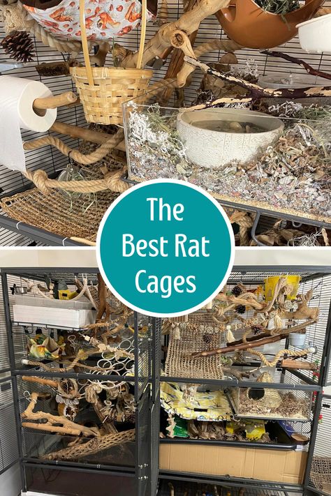 Rat Cage Ideas Diy How To Make, Cool Rat Cages, Pet Rat Cages Aesthetic, Pet Rat Cage Setup, Rat Cages Diy, Pet Rat Enclosures, Fancy Rat Cage, Rat Cage Inspiration, Diy Rat Enrichment