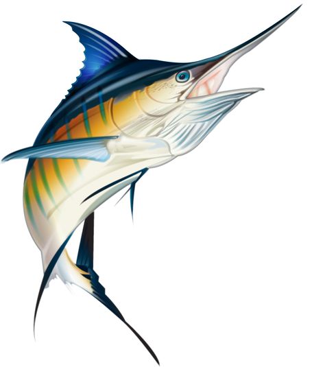 Blue Marlin, Private Collection of Coastal Properties International, Graphics Tablet Blue Marlin Drawing, Marlin Fish Drawing, Trout Fishing Gear, Blue Marlin Fish, Pesca In Mare, Ikan Air Tawar, Marlin Fish, Chinese Folk Art, Drawn Fish