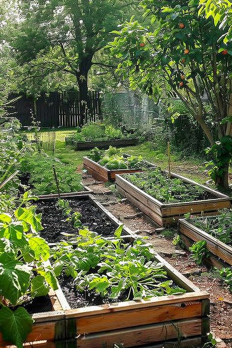 Raised garden beds filled with various plants and vegetables in a lush backyard garden, surrounded by green foliage and trees. Pottinger Garden, Backyard Garden Raised Beds, Paddock Fencing, Backyard Vegetable Garden Ideas, Garden Rows, Garden Raised Beds, Colorado Garden, Backyard Vegetable Garden, Garden Goals