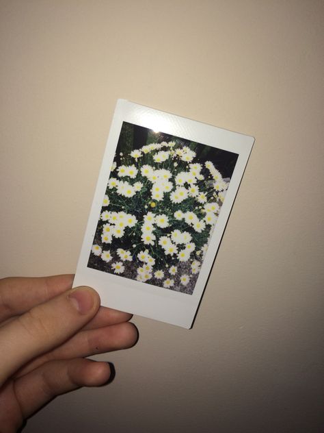 in love with my fuji camera! Fuji Camera Aesthetic, My Fuji, Fuji Camera, Camera Aesthetic, In Love, Polaroid Film