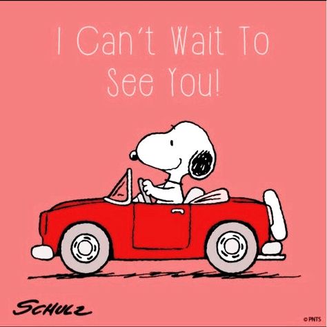 I can’t wait to see you! 🚘 Good Morning Snoopy, Happy Day Quotes, Snoopy Cartoon, Hug Quotes, Snoopy Funny, Funny Good Morning Quotes, Snoopy Images, Peanuts Snoopy Woodstock, Peanuts Cartoon